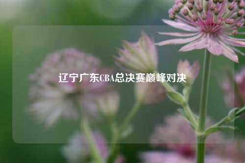 辽宁广东CBA总决赛巅峰对决