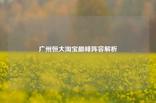 广州恒大淘宝巅峰阵容解析