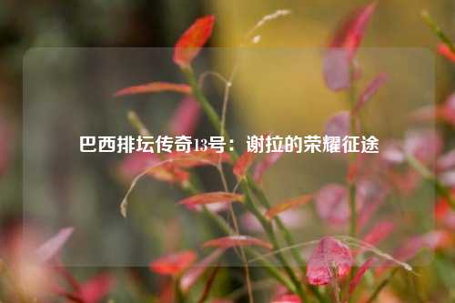 巴西排坛传奇13号：谢拉的荣耀征途