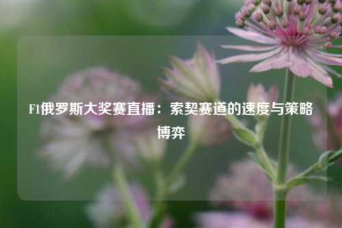 F1俄罗斯大奖赛直播：索契赛道的速度与策略博弈