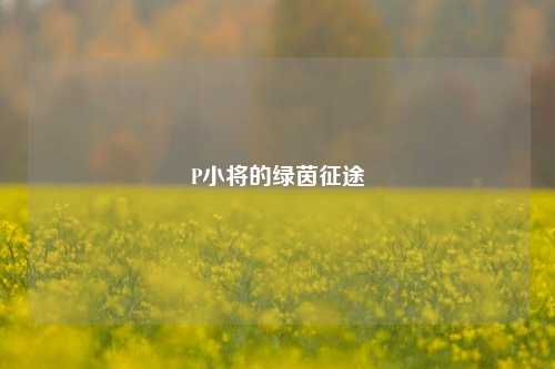 P小将的绿茵征途