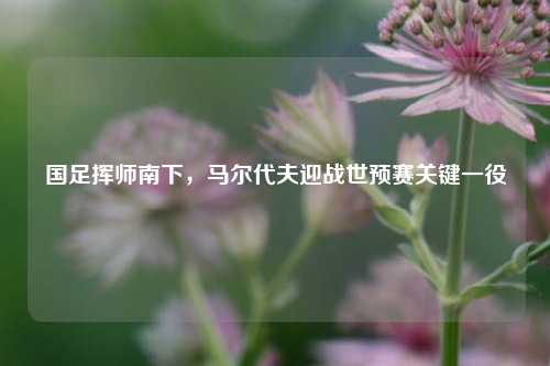 国足挥师南下，马尔代夫迎战世预赛关键一役