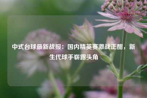 中式台球最新战报：国内精英赛激战正酣，新生代球手崭露头角