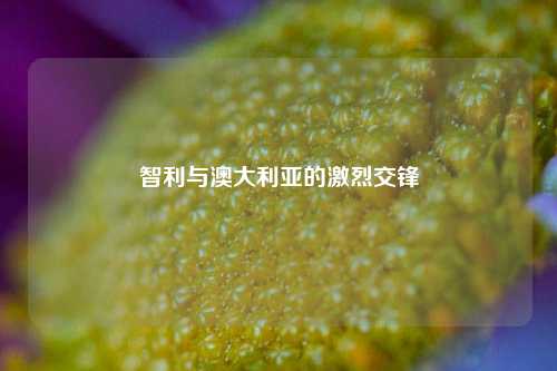 智利与澳大利亚的激烈交锋