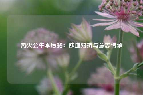 热火公牛季后赛：铁血对抗与意志传承
