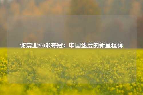 谢震业200米夺冠：中国速度的新里程碑