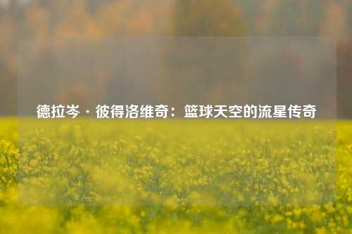 德拉岑·彼得洛维奇：篮球天空的流星传奇