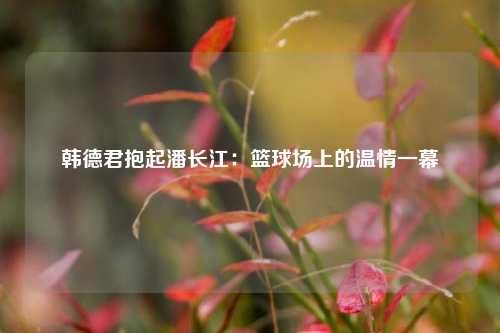 韩德君抱起潘长江：篮球场上的温情一幕