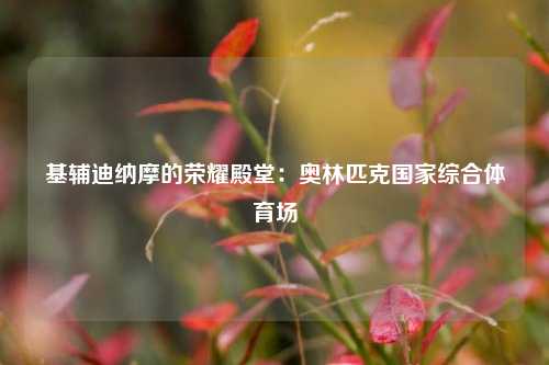 基辅迪纳摩的荣耀殿堂：奥林匹克国家综合体育场