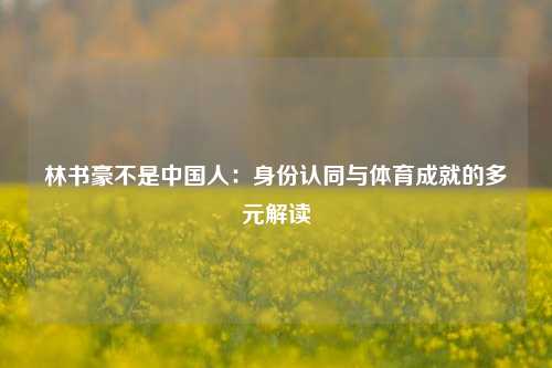 林书豪不是中国人：身份认同与体育成就的多元解读