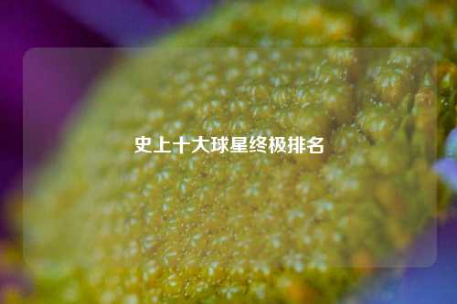 史上十大球星终极排名