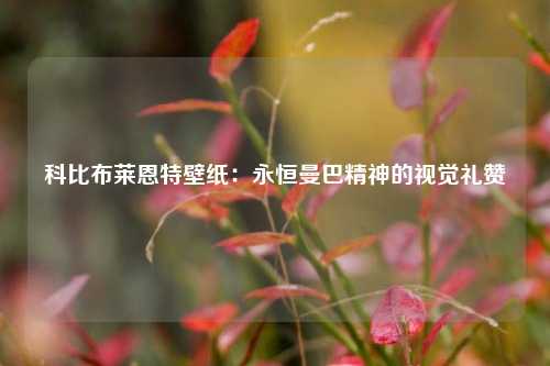 科比布莱恩特壁纸：永恒曼巴精神的视觉礼赞