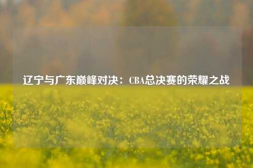 辽宁与广东巅峰对决：CBA总决赛的荣耀之战