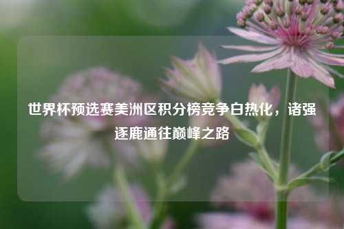 世界杯预选赛美洲区积分榜竞争白热化，诸强逐鹿通往巅峰之路