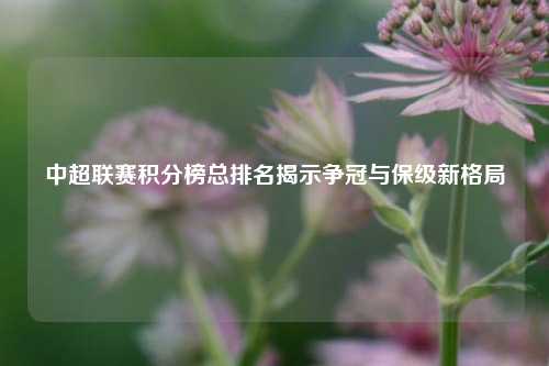 中超联赛积分榜总排名揭示争冠与保级新格局