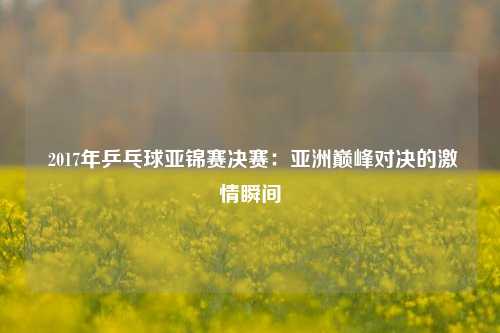  2017年乒乓球亚锦赛决赛：亚洲巅峰对决的激情瞬间