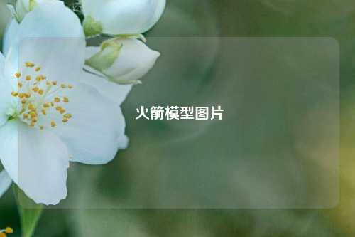  火箭模型图片