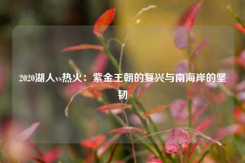 2020湖人vs热火：紫金王朝的复兴与南海岸的坚韧