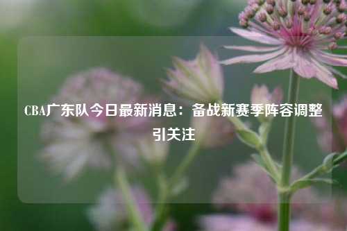 CBA广东队今日最新消息：备战新赛季阵容调整引关注