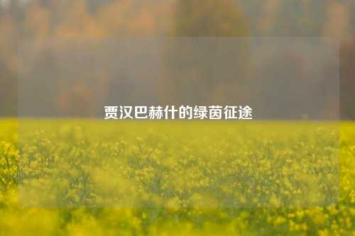 贾汉巴赫什的绿茵征途