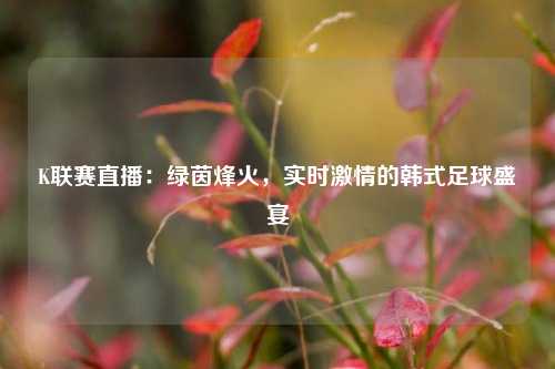 K联赛直播：绿茵烽火，实时激情的韩式足球盛宴