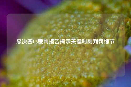 总决赛G5裁判报告揭示关键时刻判罚细节