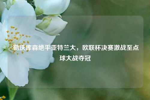  勒沃库森绝平亚特兰大，欧联杯决赛激战至点球大战夺冠