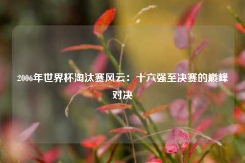 2006年世界杯淘汰赛风云：十六强至决赛的巅峰对决