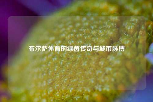 布尔萨体育的绿茵传奇与城市脉搏
