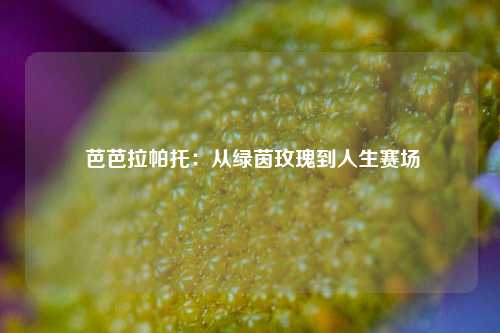  芭芭拉帕托：从绿茵玫瑰到人生赛场