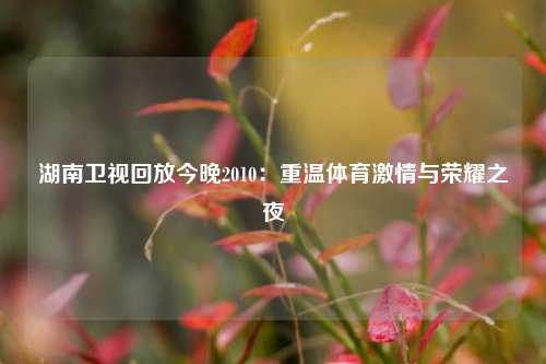 湖南卫视回放今晚2010：重温体育激情与荣耀之夜