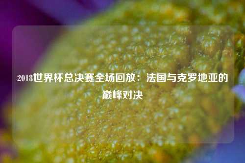 2018世界杯总决赛全场回放：法国与克罗地亚的巅峰对决