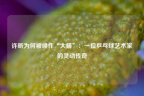 许昕为何被唤作“大蟒”：一位乒乓球艺术家的灵动传奇