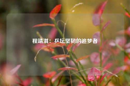程靖淇：乒坛坚韧的追梦者