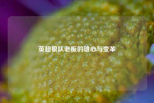 英超狼队老板的雄心与变革