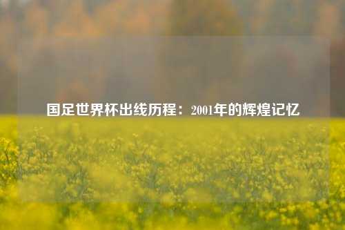 国足世界杯出线历程：2001年的辉煌记忆