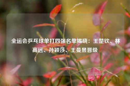 全运会乒乓球单打四强名单揭晓：王楚钦、林高远、孙颖莎、王曼昱晋级