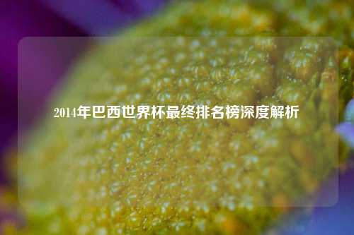 2014年巴西世界杯最终排名榜深度解析