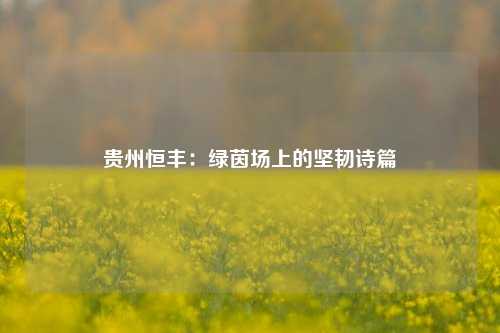 贵州恒丰：绿茵场上的坚韧诗篇