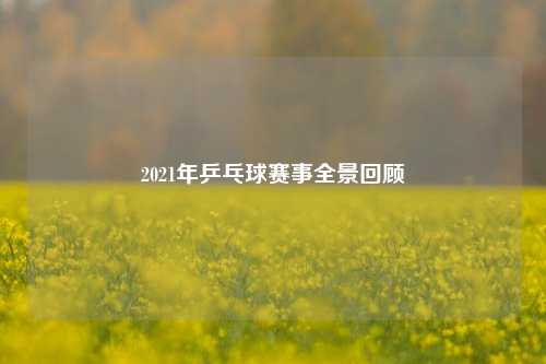2021年乒乓球赛事全景回顾