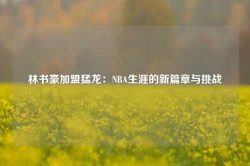 林书豪加盟猛龙：NBA生涯的新篇章与挑战
