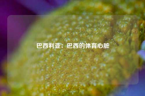 巴西利亚：巴西的体育心脏