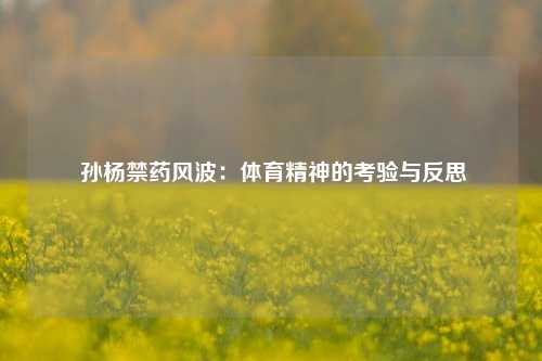 孙杨禁药风波：体育精神的考验与反思