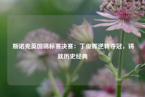  斯诺克英国锦标赛决赛：丁俊晖逆转夺冠，铸就历史经典