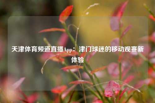 天津体育频道直播App：津门球迷的移动观赛新体验