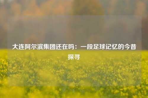大连阿尔滨集团还在吗：一段足球记忆的今昔探寻