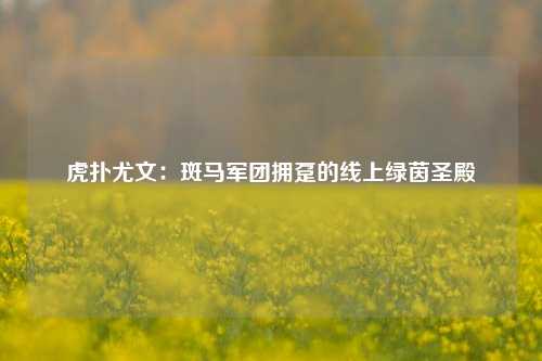 虎扑尤文：斑马军团拥趸的线上绿茵圣殿