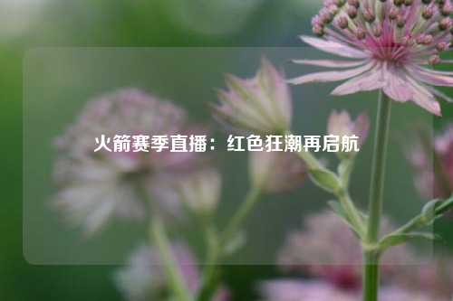 火箭赛季直播：红色狂潮再启航