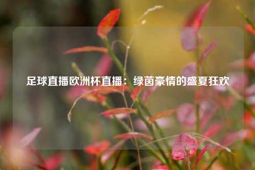 足球直播欧洲杯直播：绿茵豪情的盛夏狂欢