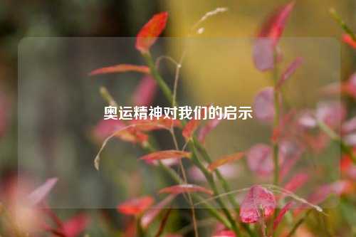 奥运精神对我们的启示